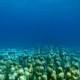 Offbeat Traveler: The Cancun Underwater Museum