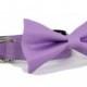 Wedding dog collar-Purple Dog Collar with bow tie set  (Mini,X-Small,Small,Medium ,Large or X-Large Size)- Adjustable