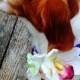 DOG FLOWER COLLAR-Pet Wedding, White Orchids, Green Hydrangea, Strech Fabric, Pet Flower, Dog Wedding, Pet Corsage, Dog flower clip, Dog Bow