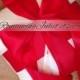 Pet Ring Bearer Pillow...Made in your custom wedding colors...shown in white/red