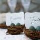 Wedding Place Cards, 3, Nest Woodland Rustic Robin Egg Blue Rustic Fairytale Classic Shabby Chic Country Theme Baby Shower, Bird Theme - New