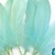 Aqua Goose Feathers, 1 Pack - MINT GREEN Goose Satinettes Loose feathers 0.3 oz. : 2121