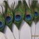 100pcs/lot 8-10" L Peacock eye  feathers  for Wedding invitation Bridal Bouquet Table Centerpiece DIY scrapbook or hairpiece
