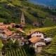 In Vino Veritas: Celebrating Italian Wines