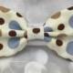 Brown & Blue Polka Dot Small Pet Dog Cat Bow / Bow Tie