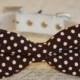 Brown Polka Dots bow tie attached to leather dog collar, Chic Dog Bow tie, Pet Wedding Accessories, 2014 Wedding Accessories