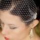 Birdcage Veil with Crystal combs and rhinestone edge, Bandeau Bird cage Veil, Wedding Veil Rhinestones, Bridal Veil - The Merle Veil