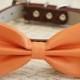 Orange Dog Bow tie, Pet Wedding Accessory, Orange bow tie, Love Orange, Bow attached to Brown Leather collar