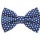 Navy Swiss Dot Pet Bow Tie - Detachable Navy Blue and White Polkadot Wedding Bow Tie for Cats and Dogs