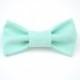 Bow Tie. Turquoise bow tie, Mint Bow Tie, Photo prop, Toddler Bow Tie, Ring Bearer, Wedding party bow tie, Boy Bow tie