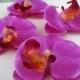 Wedding hair accessories Fuchsia lavender orchid bobby pins set of 4 Bridal hair flowers