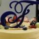 Acrylic Wedding Cake Topper - 5" or 6"  Beautiful Single Monogram letter Cake Topper (Custom Made Initial Wedding Topper )