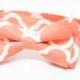 Coral and White Big Quatrefoil Patterned Bow Tie, pre-tied bowtie for all ages - wedding, ring bearer, church, photo prop, special occasion