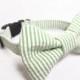 Designer Dog Collar and Bow Tie CUSTOM Green Seersucker With Matching Bowtie - boy dog collar, springtime, bowtie