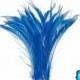 Peacock Feathers, 50 Pieces - TURQUOISE BLUE Bleached Peacock Swords Cut Wholesale Feathers (bulk) : 3432