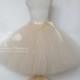 Adult Beige Cream Tutu Skirt Teen Champagne Tulle Skirt Beige Bridesmaid Champagne Bridesmaid Skirt by American Blossoms