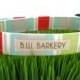 Dog collar...Aqua,red,grey,lime and white stripe print...Any size...