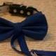 Royal Blue Dog Bow Tie, Dog ring bearer, Pet Wedding accessory, Pet lovers, Royal Blue bow attached to black dog collar