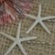 White Finger Starfish Hair Pins,  Beach Accessories, Wedding Hair Pins 