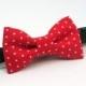 Red Cat Bow Tie Collar,  Bow Tie Small Dog Collar