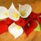 Felt calla lily and rose bouquet--PDF Pattern and instructions--P06