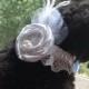 DOG FLOWER COLLAR -  White eyelet lace and white flower,Pet Wedding,Ties on, Pet Flower, Dog Wedding, Pet Corsage, Dog flower , Dog Bow