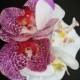 SILK FLOWER HAIR Clip, Wedding, Beach Bride, Flower, Bridal, Tropical Hair Flower, Hair Accessory, Orchids, Swarovski crystals, Hawaiiian