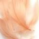 Loose Blush Pink Nagorie goose feathers (12 Feathers) Popularly used for wedding flowers, fascinators, derby hats and flapper headdresses