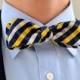 Men's Bow Tie in Navy and Gold- freestyle slim wedding groomsmen custom bowtie neck self tie cotton plaid white blue yellow plaid