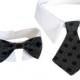Dog/Cat black diamond necktie/bowtie on a shirt style collar