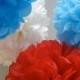 10 Tissue Paper Pom Poms- Circus Carnival or Big Top Birthday Party Set