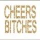 Bachelorette Party Decor, Cheers Bitches, Bachelorette Party Bar Sign, Glitter Sign, Time to Drink Champagne,8X10, Gold Glitter Sign