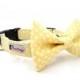 Yellow Polka Dot Dog Collar (Dog Collar Only - Matching Bow Tie Available Separately)