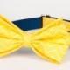 Yellow & Navy Zig Zag Belle Bow Dog Collar