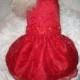 Dog Dress--Red Embroidered Organza