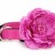 Wedding dog collar- Fuchsia Pink  Dog Collar with flower set  (Mini,X-Small,Small,Medium ,Large or X-Large Size)- Adjustable