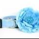 Wedding dog collar-Light Blue  Dog Collar with flower set  (Mini,X-Small,Small,Medium ,Large or X-Large Size)- Adjustable