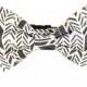 Gray Chevron Bow Tie Dog Collar/ Wedding Dog Bow Tie and Collar: Sunprint Feather