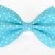 Aqua blue polka dot - cat and dog bow tie