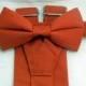 Sale: Color Match to Alfred Angelo's Burnt Orange Suspenders and Bow tie set. Free Shipping for 3 or more sets.