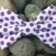 Purple Polka Dot Bow Tie, Purple Dog Bow Tie, Bow Tie, Pet Accessories