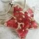 Vivid Red Verbena and Ivory Bridal Veil Pressed Flower Transparent Large Star Resin Pendant-Nature's Wearable Art-For The Star in Your Life