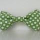 Green Polka Dot Dog Bow Tie Wedding Accessories Easter Collar Made To Order