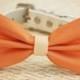 Orange and Ivory wedding accessory, Orange Dog Bow Tie, Pet Wedding accessory, Orange wedding idea, Summer Wedding