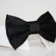 Black Dog Bow Tie and Shirt Collar-  Black tie- Wedding Dog Tie- Shirt Collar