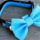 Cat Collar with Bow Tie - Turquoise Blue