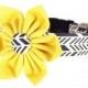 Yellow Gray Chevron Flower Dog Collar Set/ Wedding Dog Collar and Flower: Sunprint Feathers