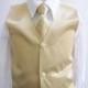 Boy Vest with Long Tie in Champagne for Ring Bearer, Communion, Wedding in Size 12, 14, 16 only