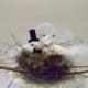 Wedding Cake Topper-Birds and Twig Nest- Bride and Grooms' Cake
