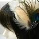 IVORY Peacock feather derby fascinator - Tara Design  - CHOOSE headband, hair clip, or comb